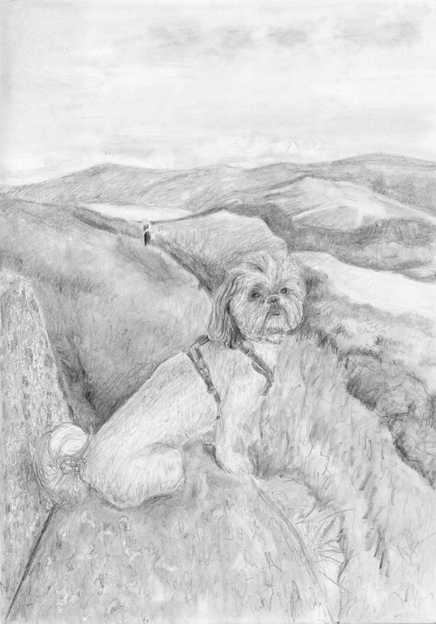 “Cookie — Lake District Walk” — Pencil Drawing Postcard